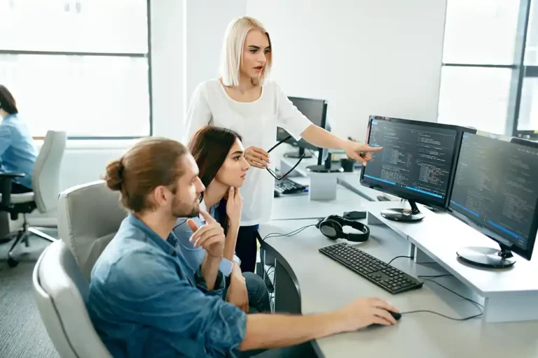 erp implementation consultants