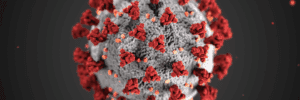 Magnified view of COVID.
