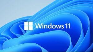 Windows 11 Operating System graphic.